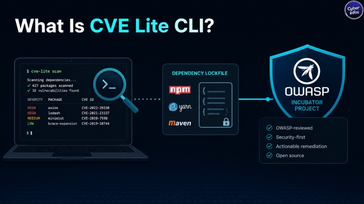 Diagram explaining what CVE Lite CLI is and its OWASP Incubator Project status